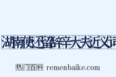 湖南使还留辞辛大夫近义词是什么意思的图片
